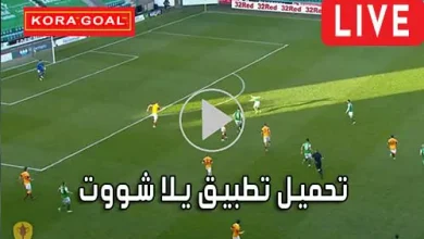 تحميل تطبيق يلا شووت لـ اندرويد 2026 APK Live