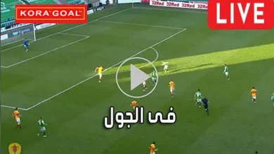 فى الجول FilGoal مباريات اليوم بث مباشر